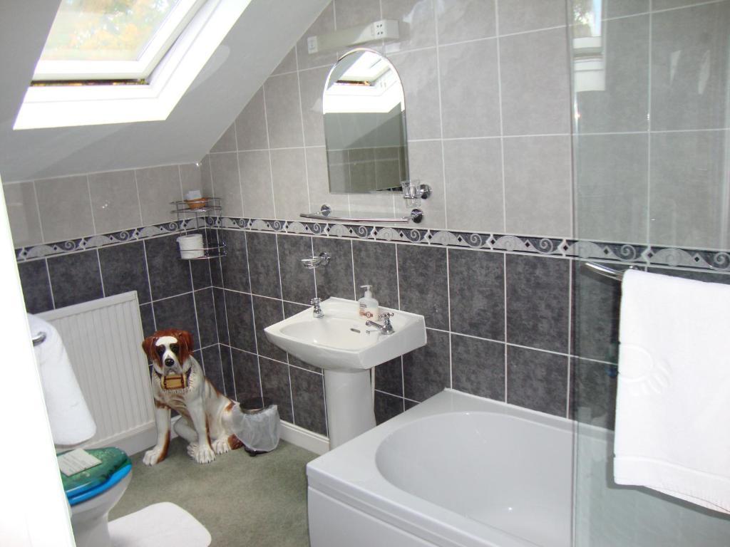 Sherwood Hotel - B&B Harrogate Kültér fotó